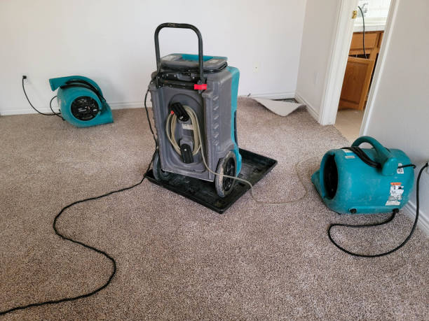Best Sewage cleanup and water damage restoration  in Concord, MO
