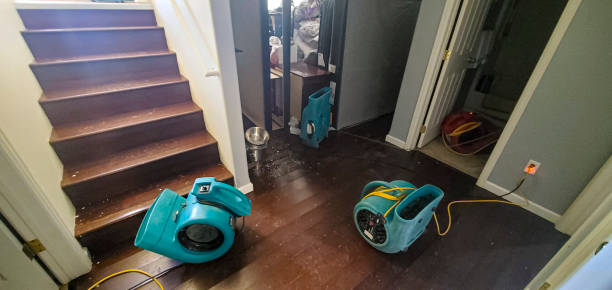 Best Water damage restoration near me  in Concord, MO