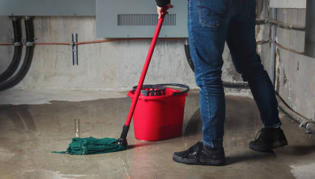 Best Sewage cleanup and water damage restoration  in Concord, MO