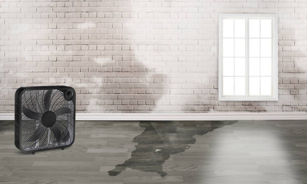 Best Fire Damage Restoration  in Concord, MO