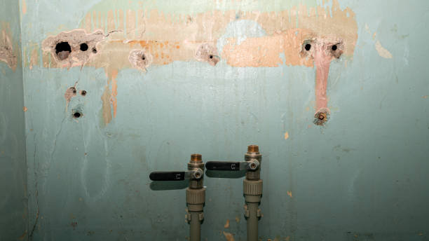 Best Professional water damage repair  in Concord, MO