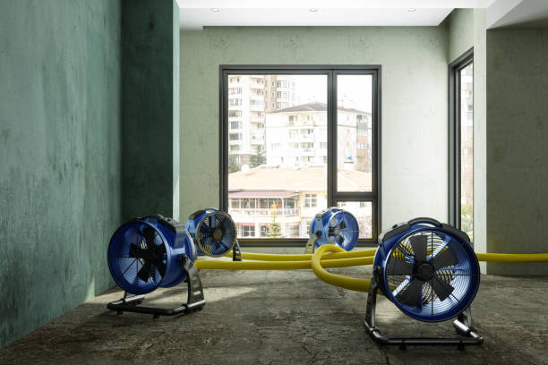 Best Water damage cleanup near me  in Concord, MO